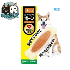 y15%OFFN[|zz1623:59z n[c f^{[ ^p M x[Rt[o[ ̂ f^PA p  