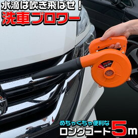 【全品ポイント10倍】BL-001 ブロワ 変則機能付き | 洗車ブロワー 洗車 送風 送風機 吸塵 掃除機 吹き飛ばし 変速 DIY 吸い込み 落ち葉 木屑 埃 水滴 ゴミ 掃除 工具 コンセント ブロワ ハンディ ハンディブロワー