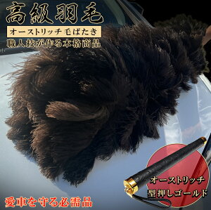 y95|Cg5{IGg[ł10{IzΒˉH { I[Xgb`т΂ 1100mm | т΂  ΂  I[Xgb` ԗp ԗp ANZT[ J[pi 