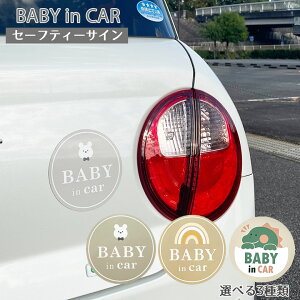 y1010I|Cg5{zST834 Z[teB[TC}Olbg VN} xr[UEX C{[ |     xr[TC xr[CJ? BABYINCAR Ԃ񂪏Ă܂ BABYI
