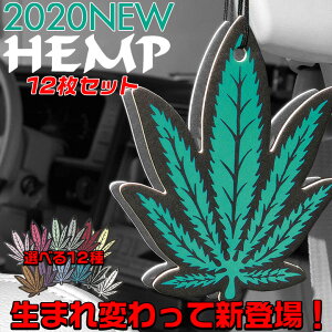 c01636 HEMP ݂艺 GA[tbVi[ 12 Zbg S12 | wv  F  wv  lC gC  N[[bg ɐlC̍ 20 30 40 jɐlC̍ zC