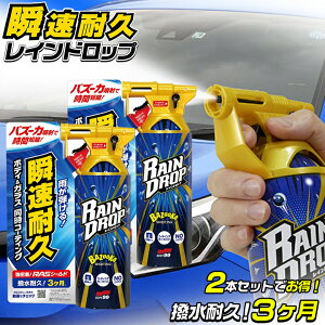 y925I|Cg7{zSOFT99 {fB & KX R[eBO 2{Zbg Chbv \tg99 99 300ml 00526 |  ȒP KXR[eBO R[eBO KXR[eBO 