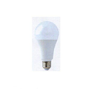 y1012,13I|Cg3{z316361 TRAD LEDidFjCLD[4.2W 40`