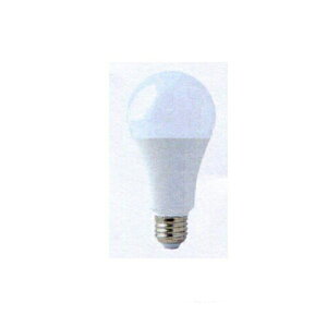 y15ASi|Cg10{Iz316366 TRAD LEDiFjCLT[4.2W 40`