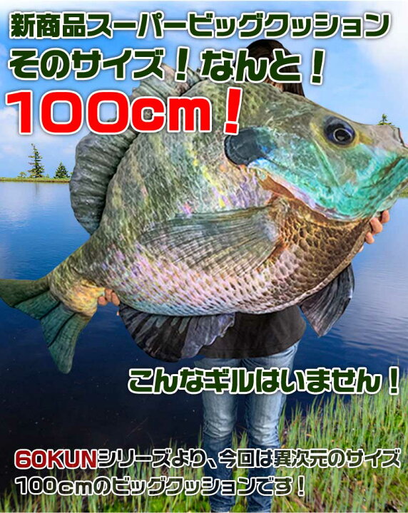 楽天市場 Tt 12 60kun 100cm ブルーギル クッション バス釣り バス 釣り 魚 釣りグッズ おもしろい 子ども プレゼント 父の日 彼氏 景品 グッズ ブルーギルクッション ギルクッション ぬいぐるみ ブルーギルぬい Waoショップ