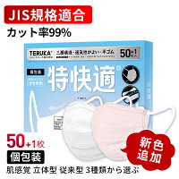 2箱 TERUKA マスク 50枚+1枚 個包装 175mm 165mm 145mm 大人用 女性用 男性用 不織布マスク メルトブロー不織布 フィルター ほこり 花粉対策 飛沫防止 防護マスク BFE/PFE/VFE99%日本機構認証あり