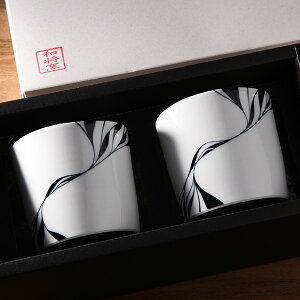  Ԃ j o v[gMtg t[Jbv2Zbg u  ubN q aq Washo B-1