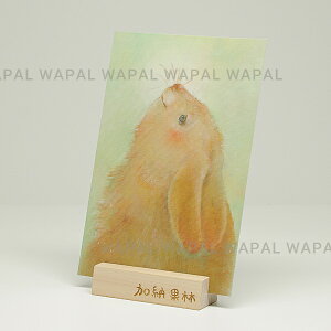 |XgJ[h  킢 uꂵ悩v nKL fuL G{ ̂ [ʗ karin-post-006