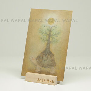 |XgJ[h  킢 uTurtle Planetv nKL fuL G{ ̂ [ʗ karin-post-048