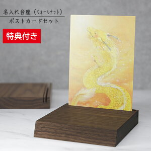 y̗PCtIz ꂪł  uXe[W Xbg EH[ibg [U[ v[g wapal-504