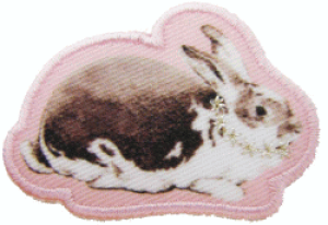 gby񃉃{@IWibyh @lbNX˃byiACڒ^Cvj