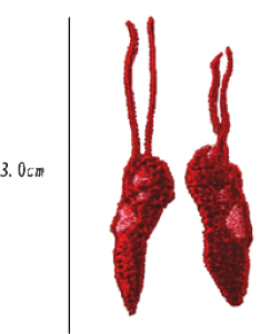 gby񃉃{@IWibyh Ԃ̃o[V[Y byiACڒ^Cvj