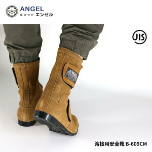 G[ JIS SC nڗpSC B609CM@L