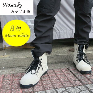 ݂₶ܓ SC  mTbNX ƌC pSC N4510