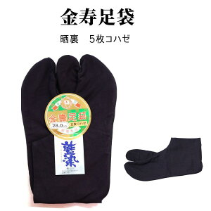 y܁z 5Rn[ 100 { Ƒ Ղ 