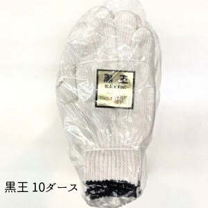  R  10_[XZbgi120oj ȍ ^Cv Ɨp Ɩp ܂Ƃߔ DIY z H _ƌ