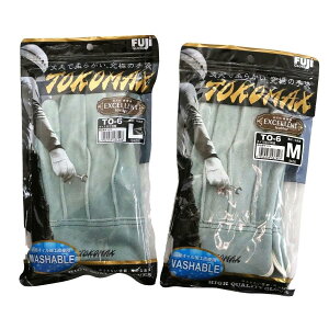 v TO-6 ICH wD^Cv Ɨp v _炩Ȃ ϋvQ z y n זp