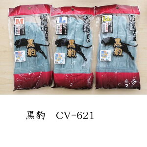  v  v OD Ɨp  Y CV-621