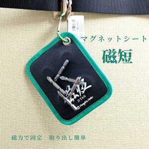 SK V@ }OlbgV[g Z  Œ   Jrit Xe[v rX ƍH MGS-04