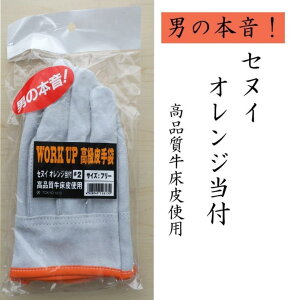 WORK UP wD IW t Ɨp   ϋvQ