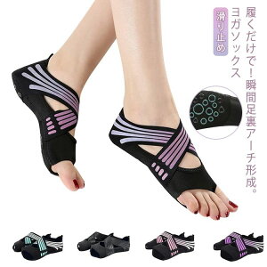 T|[^[ A[` y܂ K\bNX C C A[`T|[^[ seBX ~ _X K  5{w g[jO KV[Y KEFA T|[^[ V[Y oG