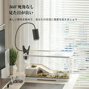 Jp P[X T̎P[X T  傫 ȒP a肪֗ 360°ώ@\  y 甠 TP[W Eoh~ T̊y T NK K {bNX rE ঒