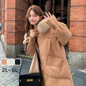 _ER[g fB[X OR[g 90_E t[ht 傫TCY AE^[ ~  Vv ~ h h _炩 g    uE dv005m5m5x0