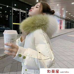 ȃR[g ؍ t[ht O _EWPbg fB[X  ȃWPbg p tFCNt@[t _ER[g ꂢ