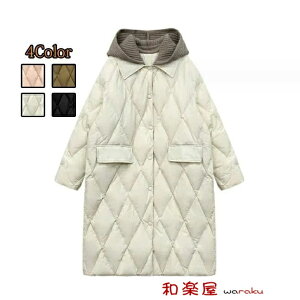 i H~V fB[XR[g E _EWPbg ʋ  _ER[g  g  ʊw y_E