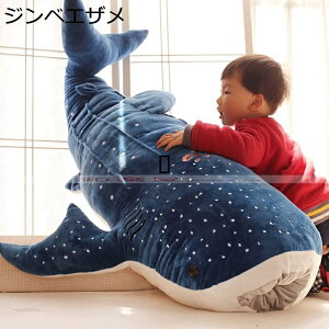 ʂ  WxGU F  傫 ܂ʂ FD N}  j ӂӂ l` ̎q j̎q q   v[g rbOTCY