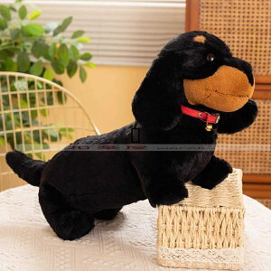   _bNXth NbV Aj} ܂  ʂ A   ӂӂ ʐ^3 ܂  킢  55cm QY v[g _炩G