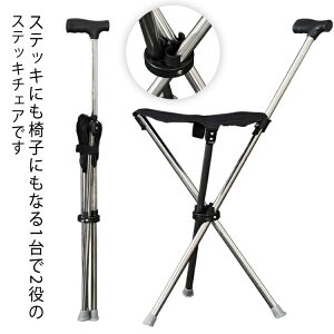 XebL ֎q CX `FA[ ^֎q XebL`FA `FA XebL ܂ ނ  Or ֎qɂȂ ܂肽  3{r xe  XebL`FA s⏕ nCL