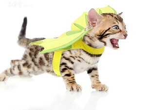 nEB nEB[ L̃RXv obg} nEB RXv Lp  ybg RX`[ nEB[ Lp ybg   b ϑ ߑ  L  ybgpi