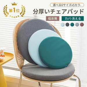 �y2�_600�~�����z30cm �`�F�A�p�b�h �`�F�A�p�b�g �� 30cm 40cm �����y ���ԂƂ� �􂦂� ���z�c �ᔽ�� 45cm �֎q�p ���킢�� �N�b�V���� �k�� ����~�� �`�F�A �N�b�V�����p�b�g 45×45 �p�b�h �I�[