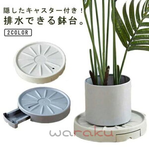 �y�r���ł��锫���z�L���X�^�[�t�� ���� ���u�� �r�� ����� ���u�� �r���g���[�t�� ���M �󂯎M ��M ��� �A�ؔ��� ���A���� �v�����^�[�X�^���h ���E���h �ی^ �ԑ� �t�����[�X�^���h 