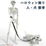 ハロウィン飾り 人/犬 骸骨 リアルな 全身可動式 骨組み 幽霊 屋外/屋内 ガーデン 庭 玄関先 室内 パーテ…