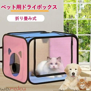 �y�b�g������ �y�b�g�n�E�X �� �L �����C�� ���� �y�b�g�h���C���[ �����C�p�i �܂��ݎ� �h���C���[�� �����P�[�X �� �L �V�����[��