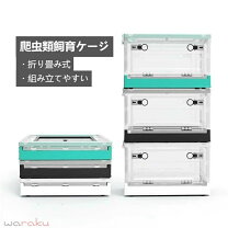 楽天市場】ペット キャスター付き キャリー（爬虫類・両生類｜ペット 