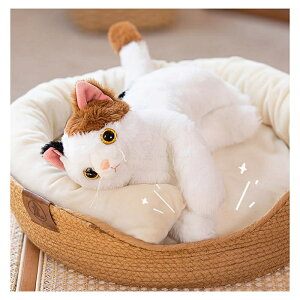 L̂ʂ AȔL̕ ˂ lR q a ̓ ̓ hV̓ v[g Mtg