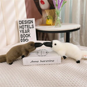 JmnV ʂ A zCg O[ platypus plush 30cm 35cm 45cm