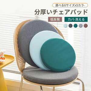 �y2�_600�~�����z30cm �`�F�A�p�b�h �`�F�A�p�b�g �� 30cm 40cm �����y ���ԂƂ� �􂦂� ���z�c �ᔽ�� 45cm �֎q�p ���킢�� �N�b�V���� �k�� ����~�� �`�F�A �N�b�V�����p�b�g 45×45 �p�b�h �I�[