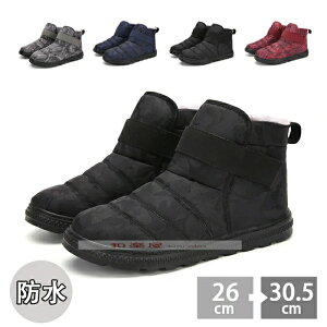 [gu[c h Xm[u[c Y fB[X hC h Ȃ Xj[J[ N g  EB^[u[c ~p y C Ȃ ӂӂ ₷ 