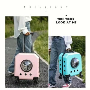 ybgL[J[g t 2J[  ʋC o  d hCu Lv ybgpi ObY ANZT  ^ L qL    O S S fUC P