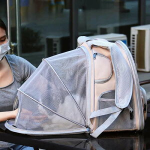 ybgL[bN g L bV t obO ʋC o  d hCu Lv ybgpi ObY ANZT  ^ L qL    O ЊQ 