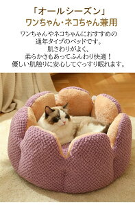 ybgxbh Ԍ^ybgnEX ی^ 􂦂  킢 Lp xbh Lxbh ybgNbV NbVpxbh ^ ^ ybg\t@[ ΍􌢔LQ n