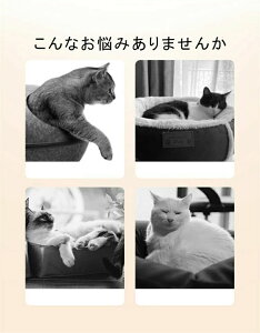 L xbh ėp  LbgnEX L nEX L ybgnEX@ybgxbh L xbh ^ ʋC҂ ҂ݕ Ђ VRf  lR  ^ ΍ObY 