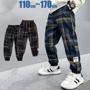 [/2F/110cm`170cm] `FbN Y{ ^[^`FbN pc LbY WjA Opc e[p[hpc j̎q ̎q ʊw EGXgS Lv AEghA q w z