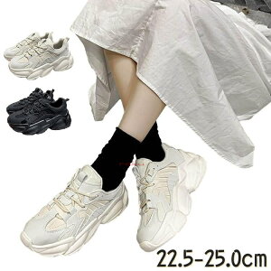 Xj[J[   fB[X   WjA 22 23 25cm LbY ̎q 22Z` 23cm j̎q  ؍ Cq[ ₷ ɂ LC  Vv 20 30 40