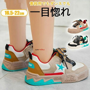 16.5cm-22cmqC Xj[J  W[X̎q j̎q ^C ₷ _炩 y Sn w ct ۈ牀 _XANAV[Y ʉ ʊw WjA LbYW[X16/