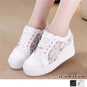 Cq[Xj[J[ fB[X [XV[X[؂ւ V[Y  C ɂȂ fB[X Xj[J[  EH[LO  LC    y Ȃ 킢 